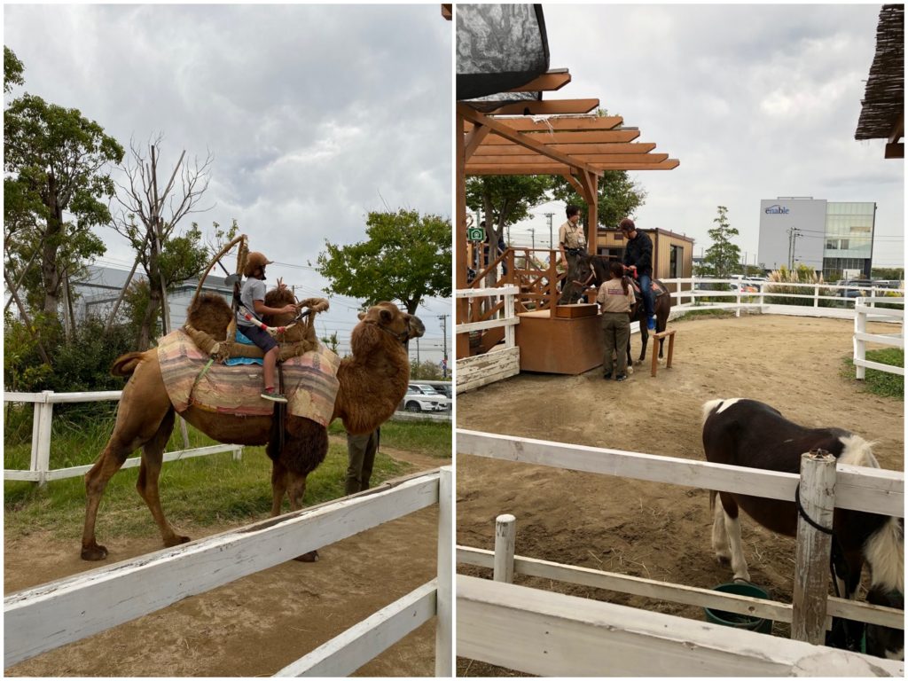 日本關西親子遊 神戶必去景點 神戶動物王國 大手牽小手